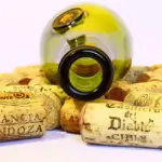 Kan jeg bruge hårkur som en erstatning for shampoo?